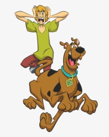 Shaggy Rogers Png Free Pic - What's Your Favorite Cartoon, Transparent Png, Transparent PNG