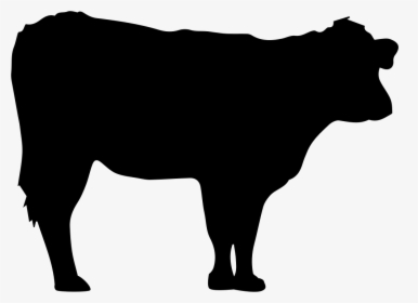 Cow Silhouette - Silhouette Of Cow, HD Png Download, Transparent PNG