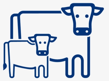 Cow-calf - Cow Calf Production, HD Png Download, Transparent PNG