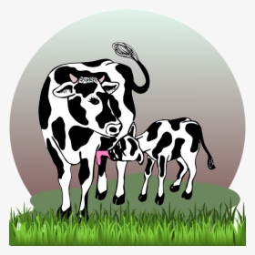 Cow With Calf, Cow, Calf, Cattle, Farm, Agriculture - Cow With Calf Png, Transparent Png, Transparent PNG