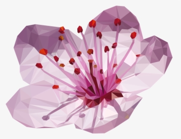 Transparent Cherry Blossom Flower Png - Flower Cherry Blossom Png, Png Download, Transparent PNG
