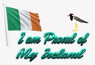 Ireland Flag Png - Seabird, Transparent Png, Transparent PNG