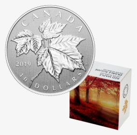 2019 1/2 Oz Canada Maple Leaf - Canadian Quarters Maple Leafs, HD Png Download, Transparent PNG