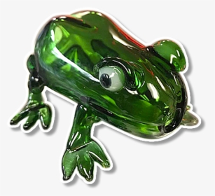 Frog - Toad, HD Png Download, Transparent PNG