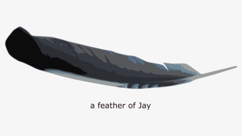 This Free Icons Png Design Of Feather Of Jay - Illustration, Transparent Png, Transparent PNG
