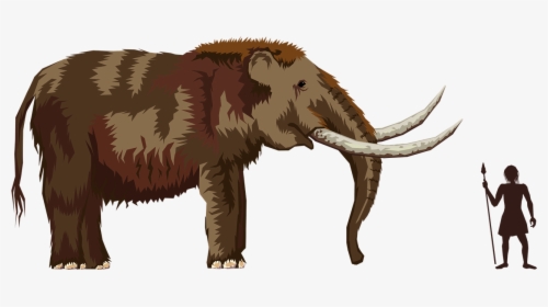 Mammoth Clipart, HD Png Download, Transparent PNG