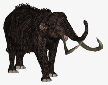 Transparent Mammoth Png - Zoo Tycoon Woolly Mammoth, Png Download, Transparent PNG