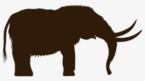 Woolly Mammoth Clip Art, HD Png Download, Transparent PNG