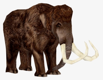 Woolly Mammoth Adult - Mammoth Transparent, HD Png Download, Transparent PNG