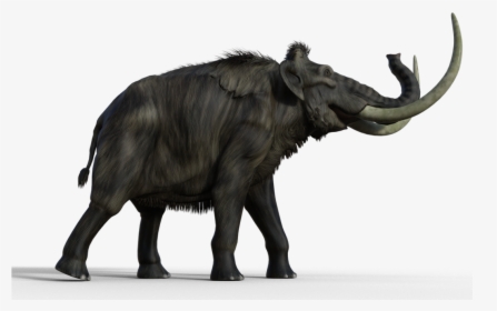 Transparent Mammoth Png - Woolly Mammoth Token D&d, Png Download, Transparent PNG