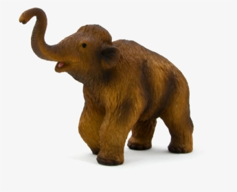 387050 Wooly Mammoth Calf, HD Png Download, Transparent PNG