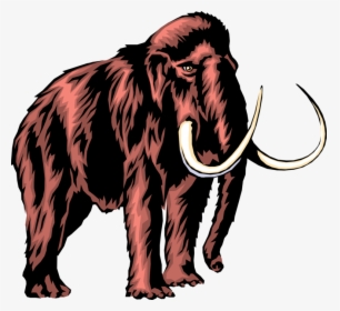 Vector Illustration Of Prehistoric Woolly Mammoth With - Mammoth With No Background, HD Png Download, Transparent PNG