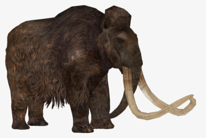 Zoo Tycoon 2 Stegodon, HD Png Download, Transparent PNG