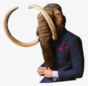 Stone Age Mammoth, HD Png Download, Transparent PNG