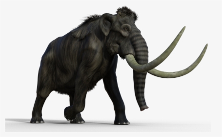 #mammoth - Indian Elephant, HD Png Download, Transparent PNG
