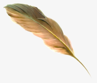 The Floating Feather Brown - Png Transparent Feather Drawing Golden, Png Download, Transparent PNG