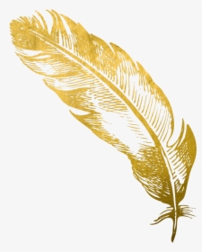 #gold #feather #feathers #native #boho #pretty #decals - Golden Feather Transparent, HD Png Download, Transparent PNG