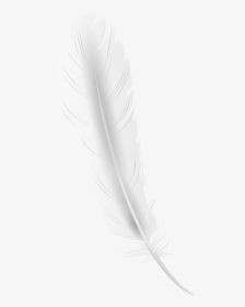 Feathers Clipart Rose Gold - White Feather Png Transparent, Png Download, Transparent PNG