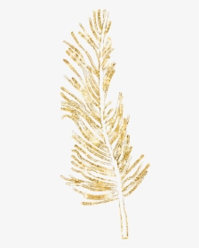 #gold #feather #feathers #native #boho #glitter #decals - Transparent Gold Feather Png, Png Download, Transparent PNG