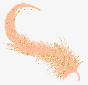 #feathers #feather #pastel #golden #gold #rosegold - Feather Pastel Png, Transparent Png, Transparent PNG