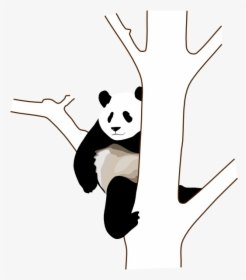 Panda Drawing On Tree, HD Png Download, Transparent PNG