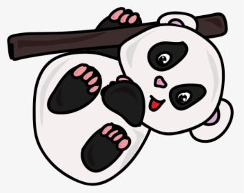 Panda - Giant Panda, HD Png Download, Transparent PNG