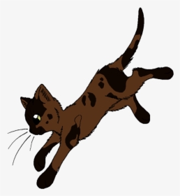 Beetle - Warrior Cats Sparrowfeather, HD Png Download, Transparent PNG