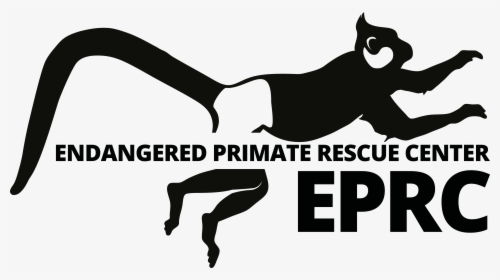 Transparent Jumping Cat Png, Png Download, Transparent PNG