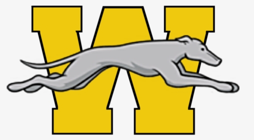 Content 1555513540-yellow W Withgreyhound Huge - Wilmington Greyhounds Logos, HD Png Download, Transparent PNG