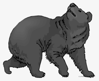 American Black Bear Clip Art Grizzly Bear Polar Bear - Clip Art Of Bears, HD Png Download, Transparent PNG