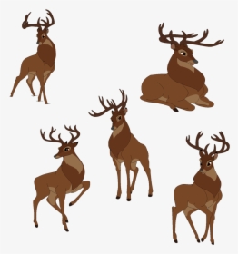 Great Prince Of The Forest Bambi Thumper Faline Drawing - Great Prince Of The Forest Human, HD Png Download, Transparent PNG