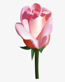 Free Png Pink Rose Png Images Transparent - Vector Roses, Png Download, Transparent PNG