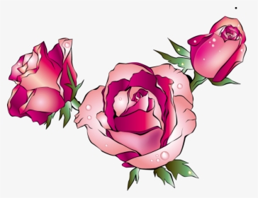 Rose Images Cartoon - Garden Roses, HD Png Download, Transparent PNG
