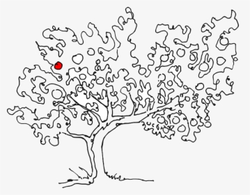 Transparent Apple Tree Png - Apple Tree Line Drawing, Png Download, Transparent PNG