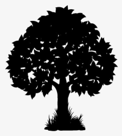 Tree Sketch Png Background - Transparent Background Tree Illustration Png, Png Download, Transparent PNG