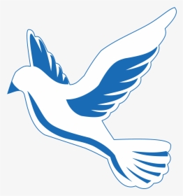 Wordpress Logo Clipart Dove, HD Png Download, Transparent PNG