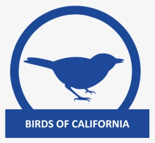 Birds Of California - Stickers Animaux, HD Png Download, Transparent PNG