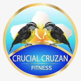 Sticker, HD Png Download, Transparent PNG