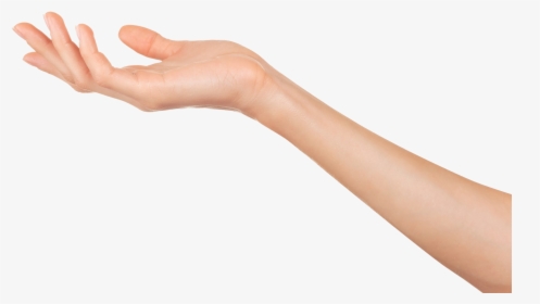 Transparent Mano Png - Woman's Arm And Hand, Png Download, Transparent PNG