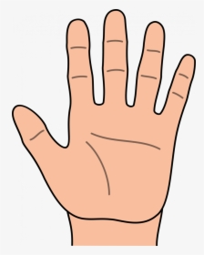 Hand Clipart, HD Png Download, Transparent PNG