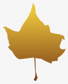 Plant,leaf,maple Leaf - Maple, HD Png Download, Transparent PNG