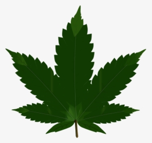 Hash, Marihuana & Hemp Museum Cannabis Blunt Clip Art - Marijuana Transparent, HD Png Download, Transparent PNG