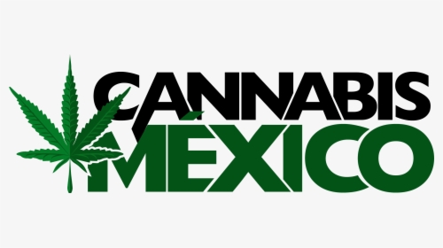 Cannabis Mexico - Graphic Design, HD Png Download, Transparent PNG