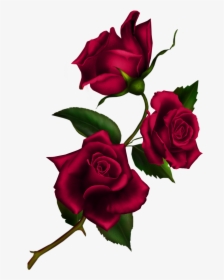 Transparent Rose Clip Art - Rose With Stem Png, Png Download, Transparent PNG