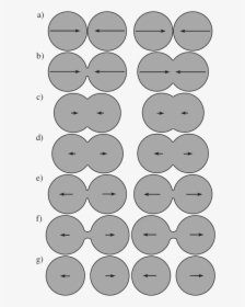 White Particles Png, Transparent Png, Transparent PNG