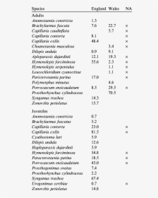 Document, HD Png Download, Transparent PNG