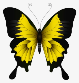 Yellow Png Clip Art - Clipart Yellow Butterfly, Transparent Png, Transparent PNG