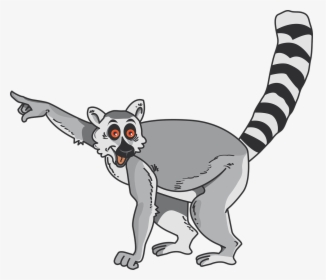 Lemur Clip Art, HD Png Download, Transparent PNG