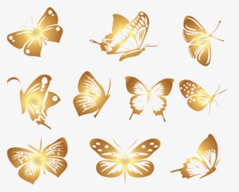 Transparent Butterflies Clipart - Butterfly Vector Free Png, Png Download, Transparent PNG