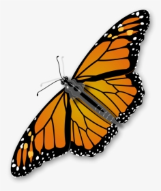 Vector Bug Butterfly - Monarch Butterfly Transparent Background, HD Png Download, Transparent PNG